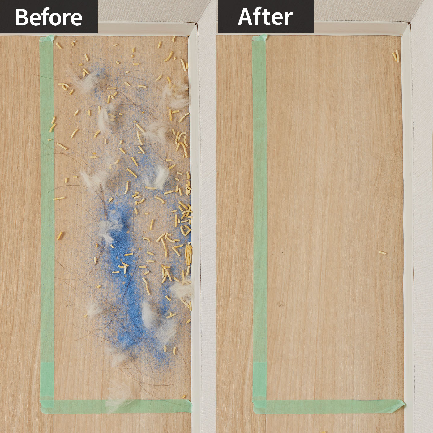 パナソニック 紙パック式キャニスター掃除機 MC-JP850Kをレビュー