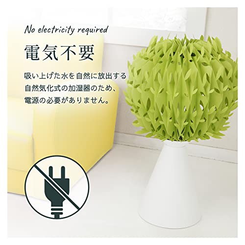 ペーパー加湿器のおすすめ人気ランキング【2026年9月】 | マイベスト