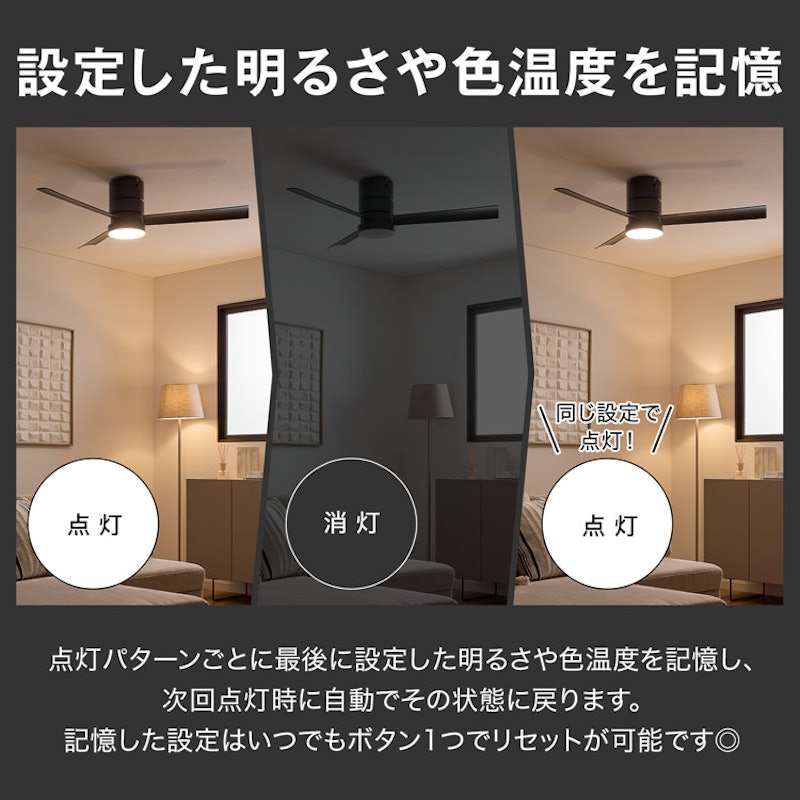 シーリングファンライト 10