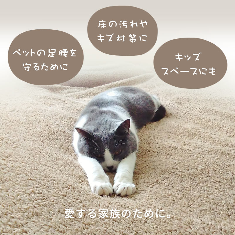 ラグ 3