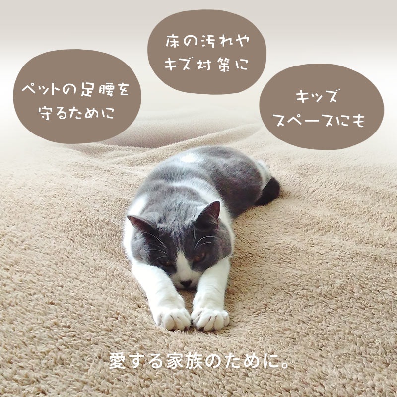ラグ 3