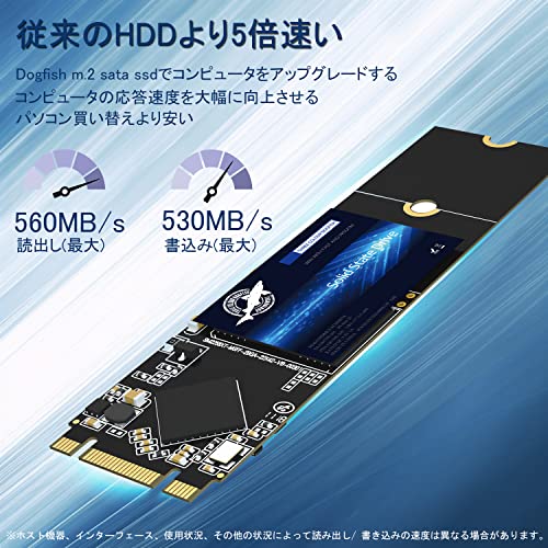Dogfish M.2 SATA SSD 4TB 2