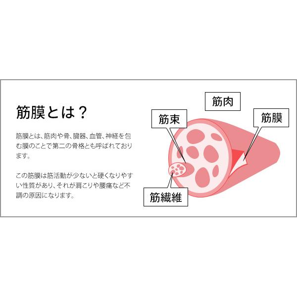 ヨガポール muscle 4