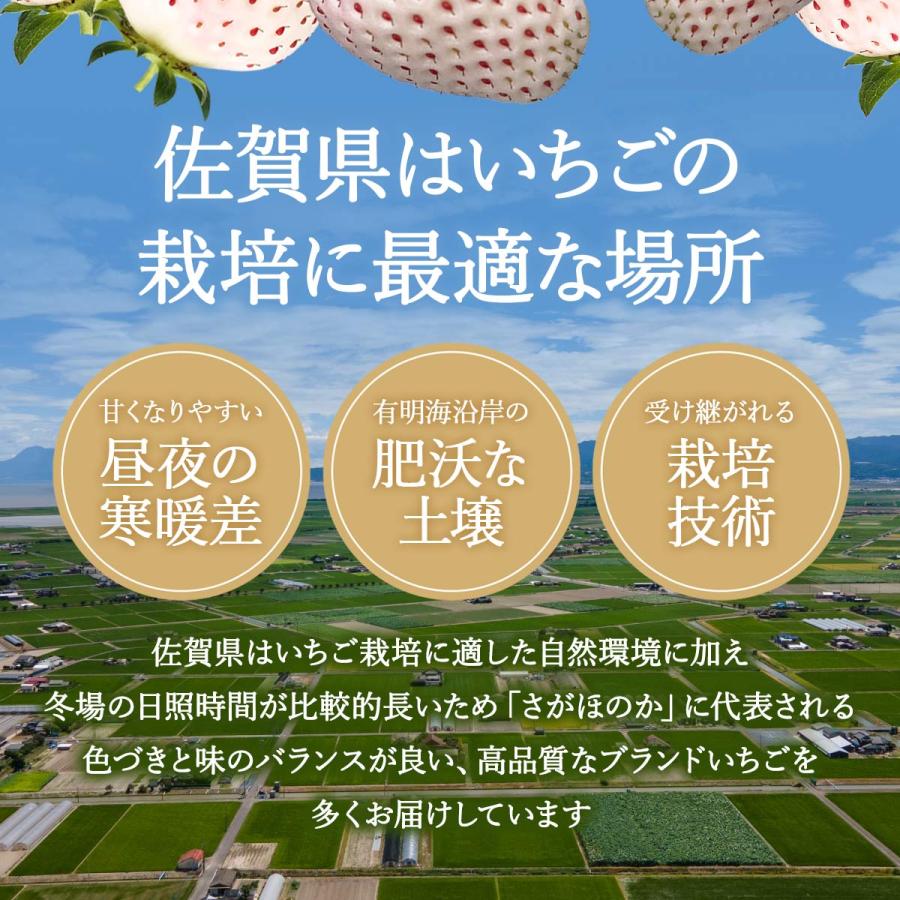 パールホワイト 6