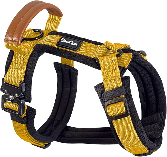 KOKOCHI Harness 1
