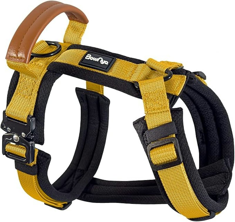 KOKOCHI Harness 1
