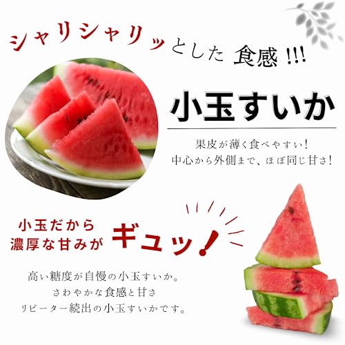 小玉すいか  2