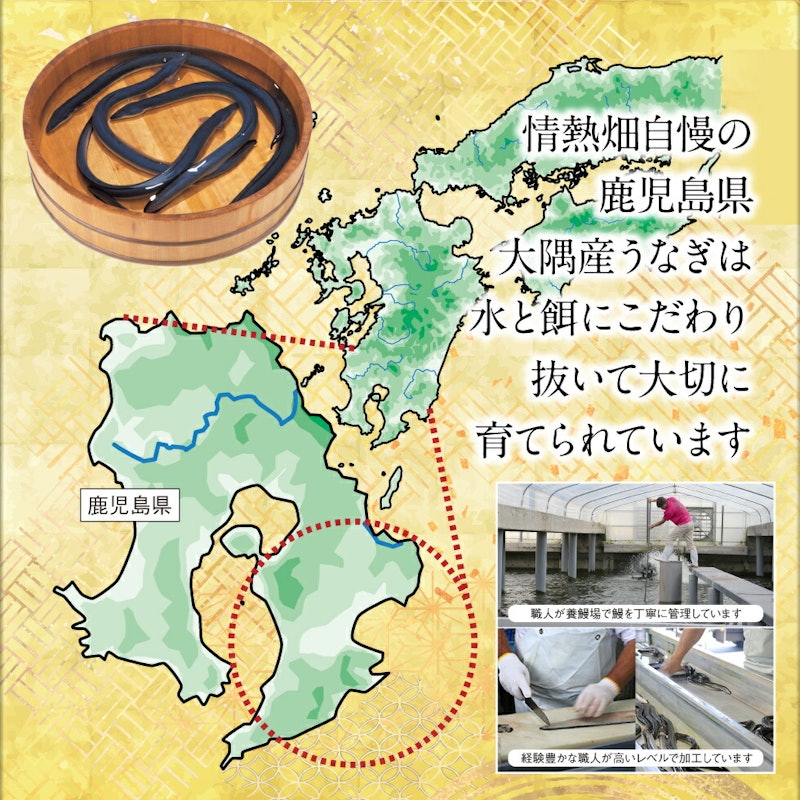 うなぎ蒲焼 4