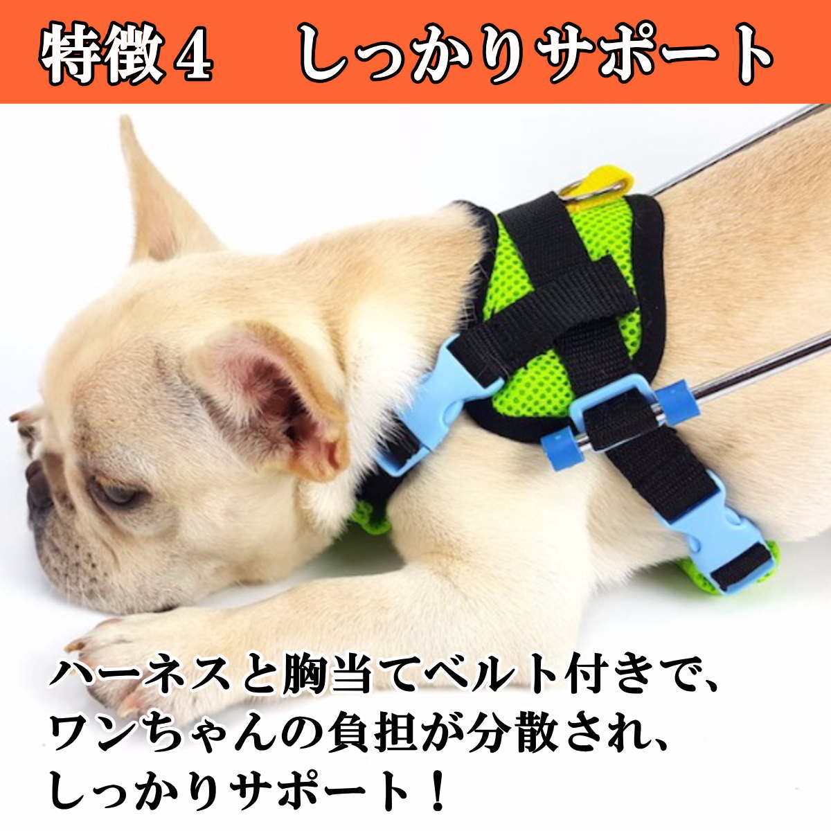 ペット用車椅子 5