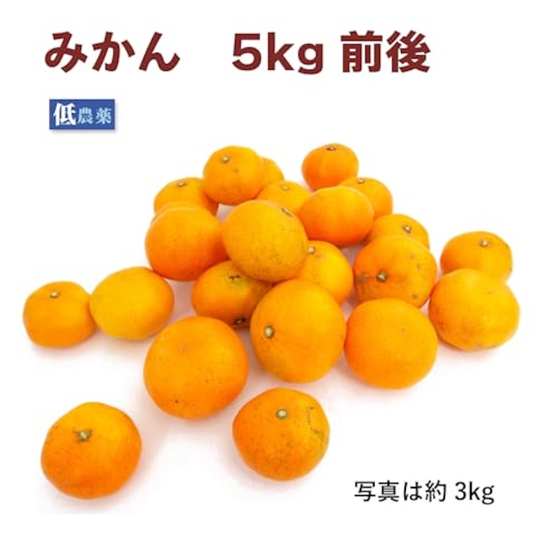 みかん 2