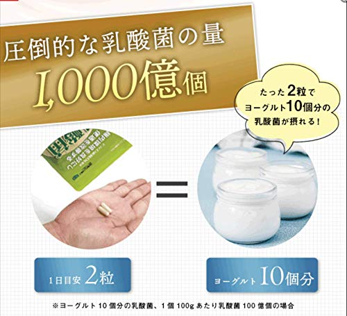 乳酸菌革命プレミアム 4