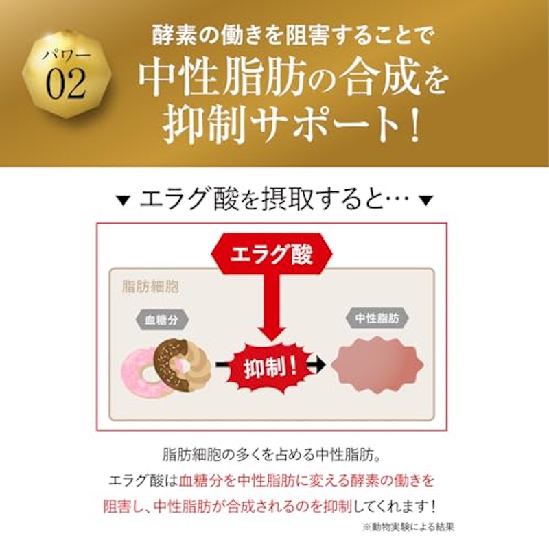 キラーバーナー Ⅱ 5
