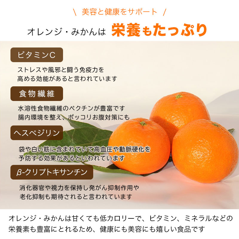 静岡産 熟成三ヶ日蜜柑 無添加ドライみかん 8