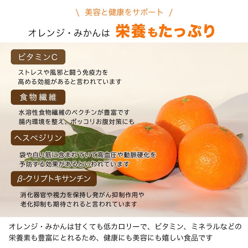 静岡産 熟成三ヶ日蜜柑 無添加ドライみかん 8
