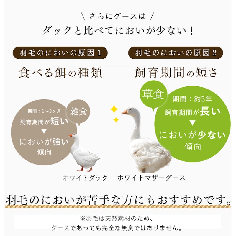 美の羽毛 8