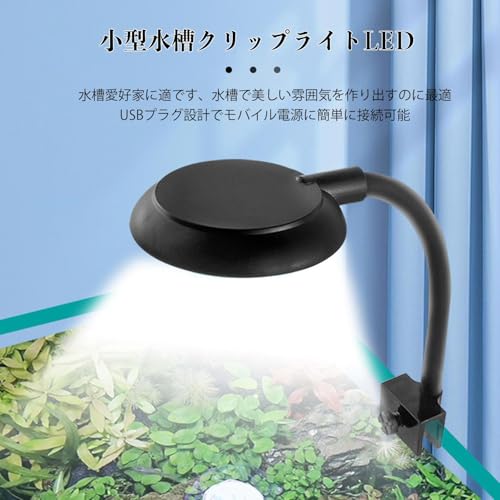 水槽ライト 2