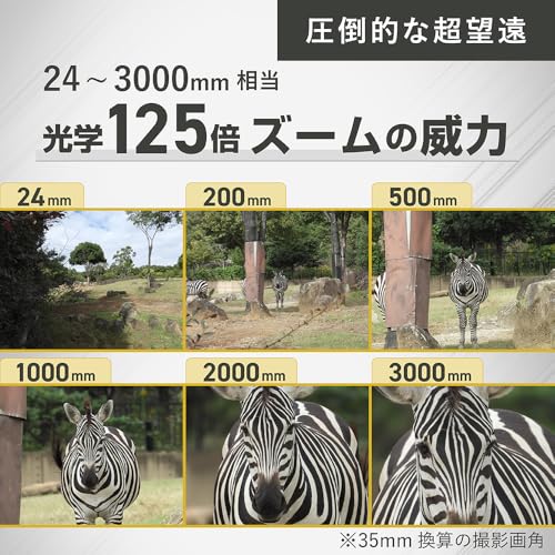 デジタルカメラ 2