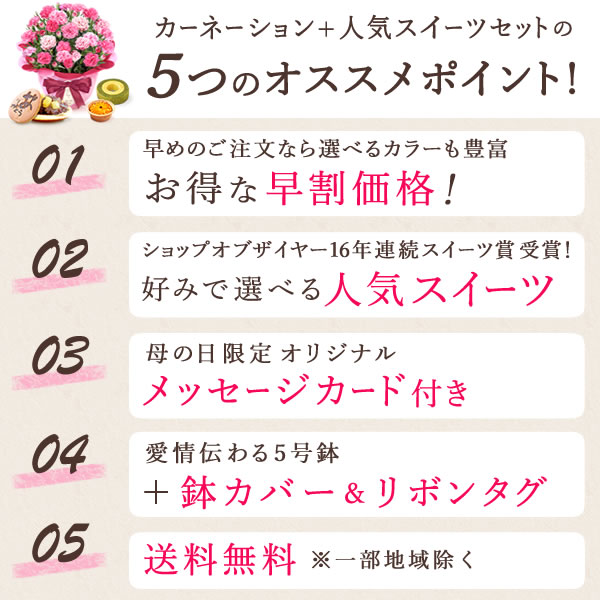 選べる鉢花と人気スイーツセット 鉢植えタイプ 4