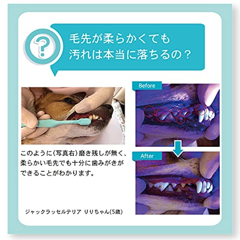 オーラバイオブラシ 4