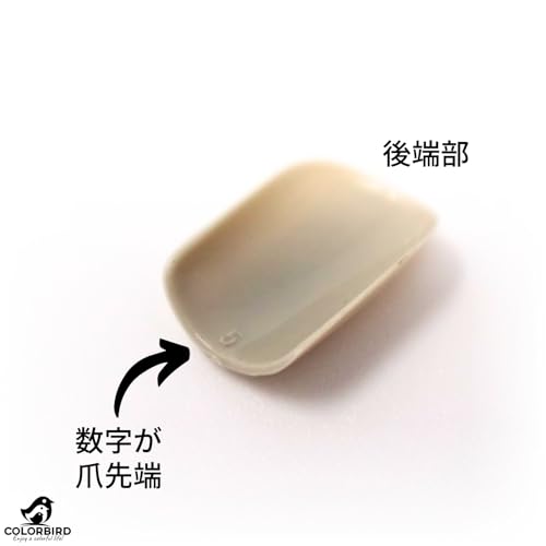 ネイルチップ 3