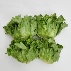 レッドホースコーポレーション 産直アウルを検証レビュー!野菜宅配の選び方も紹介 2