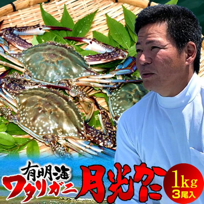 ワタリガニ 1