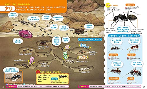講談社の動く図鑑MOVE はじめてのずかん こんちゅう 6