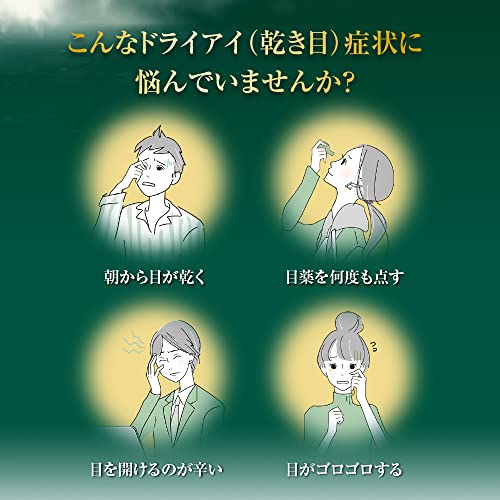 Vロートドライアイプレミアム 2