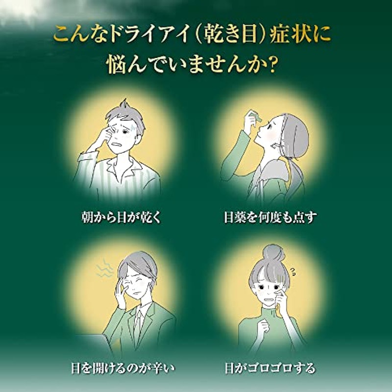 Vロートドライアイプレミアム 2