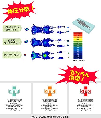ブレスエアー パラレーヴ 6