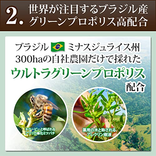 プロポデンタルEX 4
