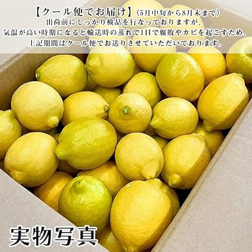 レモン 国産 訳あり 2
