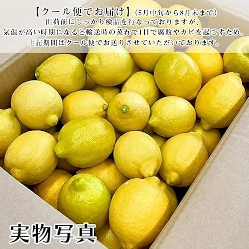 レモン 国産 訳あり 2