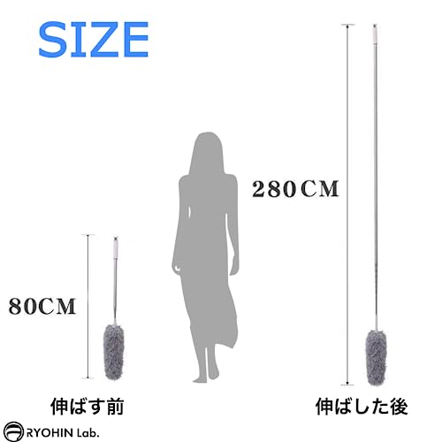 ホコリ取り 6