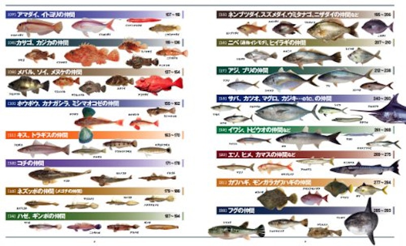海の魚 大図鑑 3