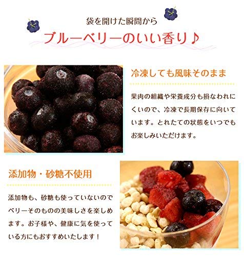 ブルーベリー 5