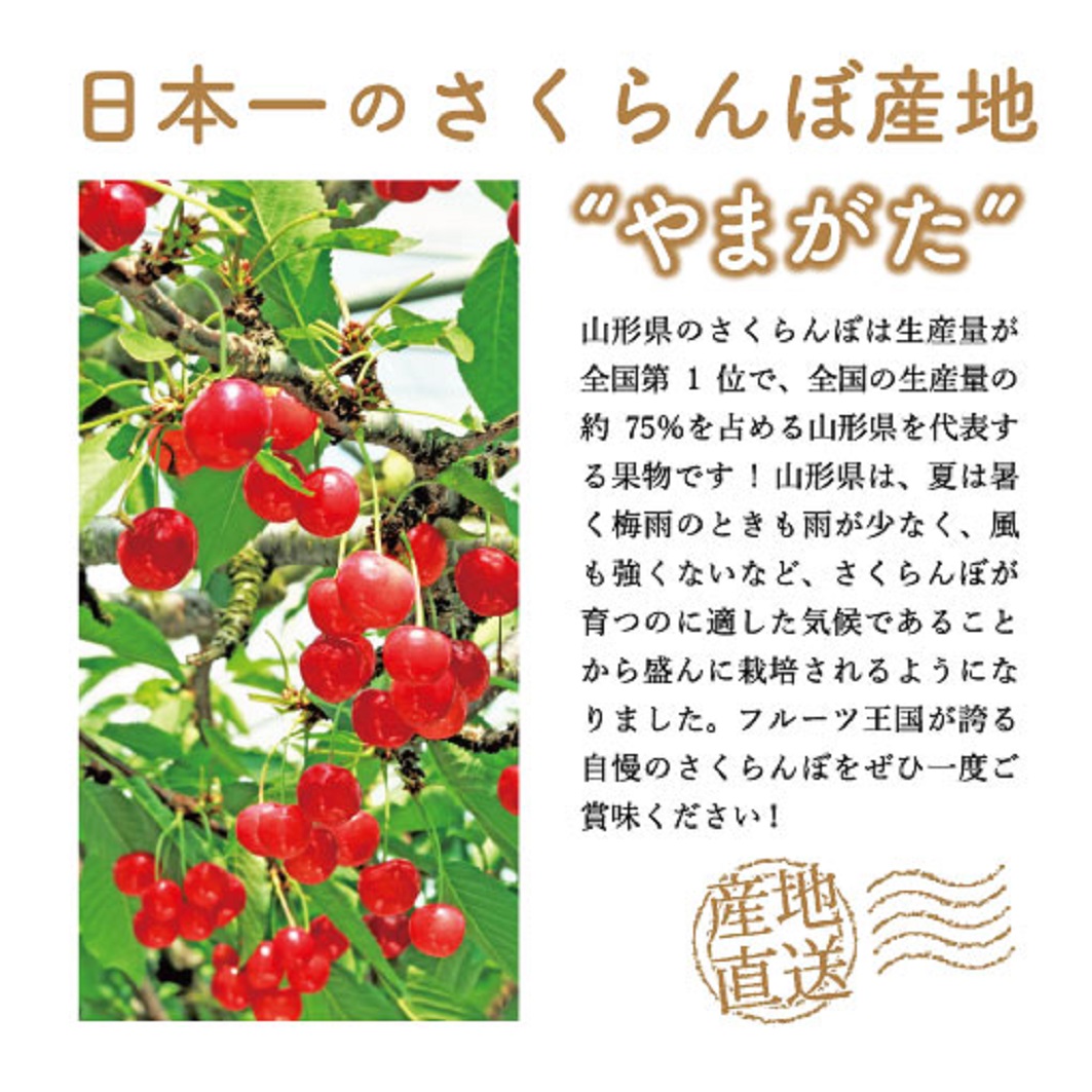 さくらんぼ 3