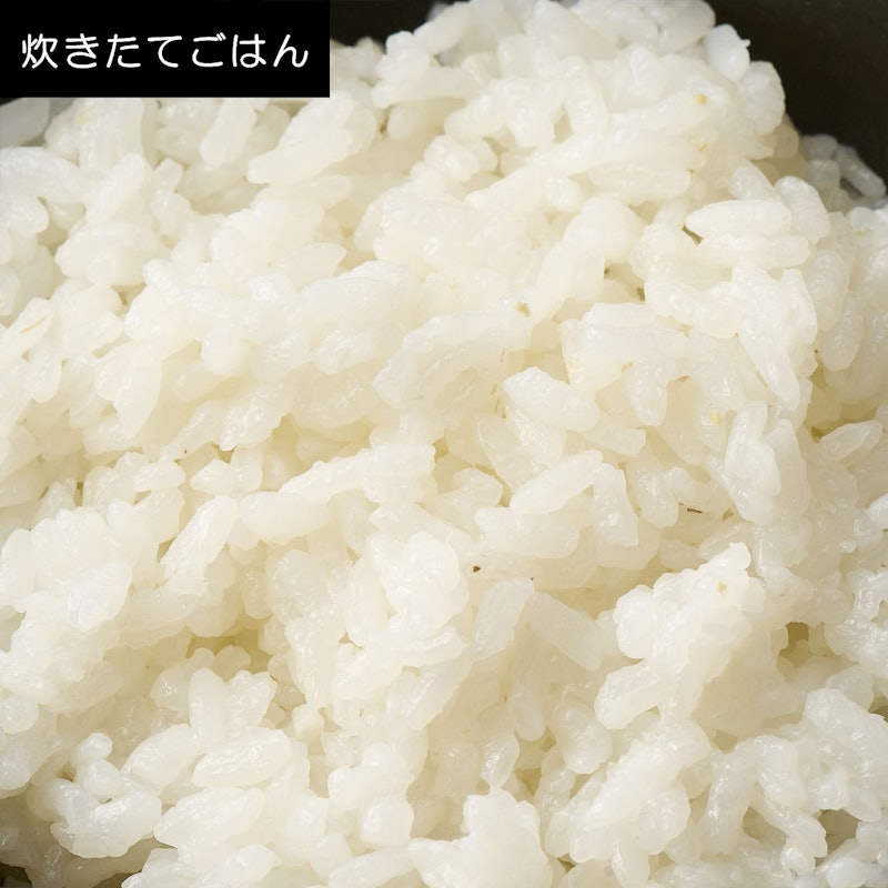 IHジャー炊飯器 10