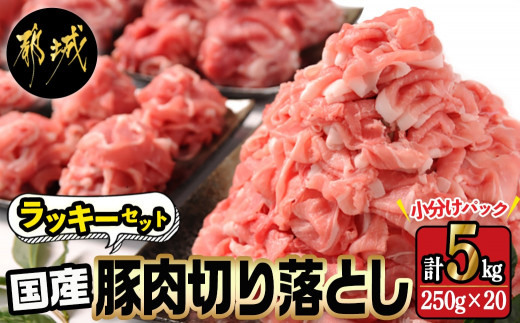 国産豚肉切り落とし5kg ラッキーセット 1