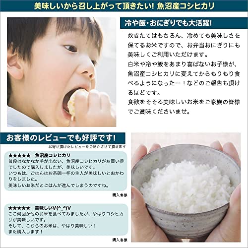 魚沼産コシヒカリ 3