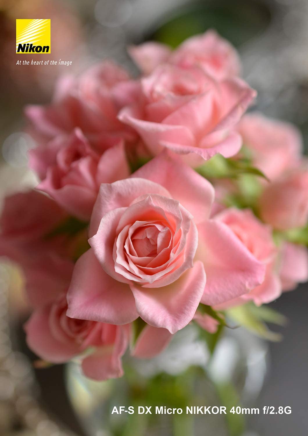 AF-S DX Micro NIKKOR 40mm f/2.8G 10