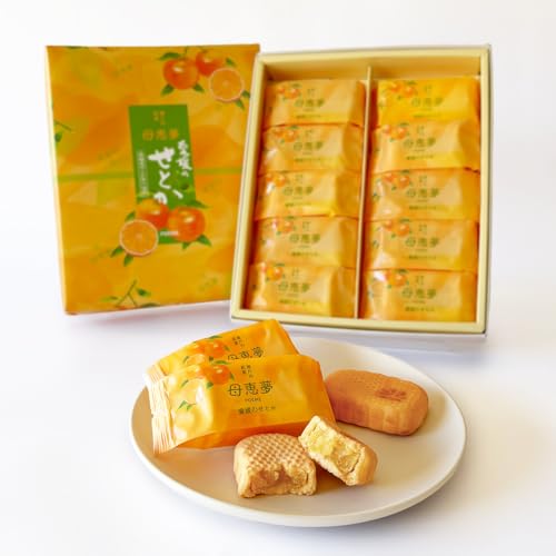 ベビー母恵夢 愛媛のせとか 1