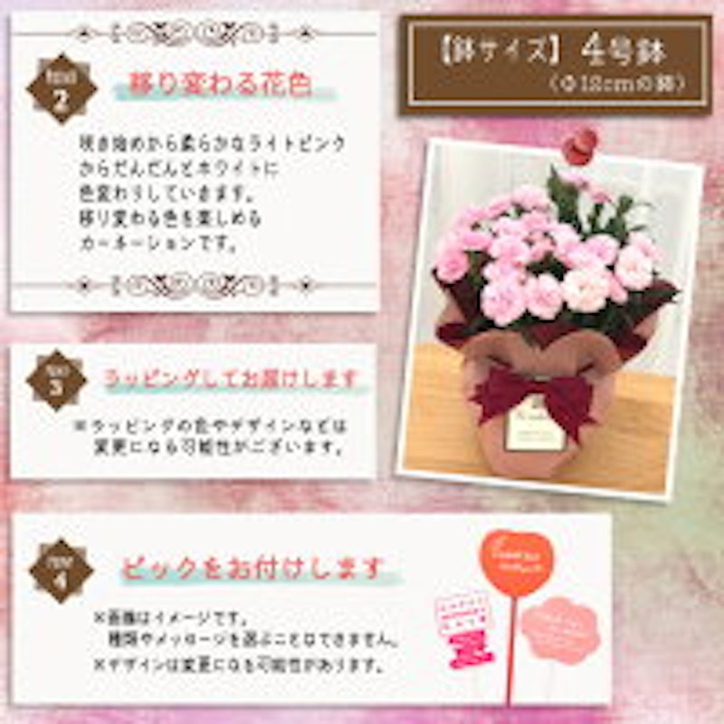 22年 母の日向けカーネーション鉢植えのおすすめ人気ランキング40選 Mybest 22年 母の日向けカーネーション鉢植えのおすすめ人気ランキング40選 Mybest