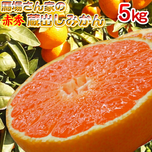 馬場さん家の蔵出しみかん 赤秀 1