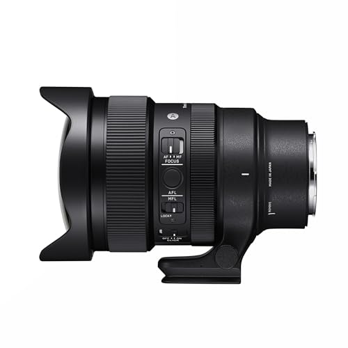 15mm F1.4 DG DN DIAGONAL FISHEYE 2