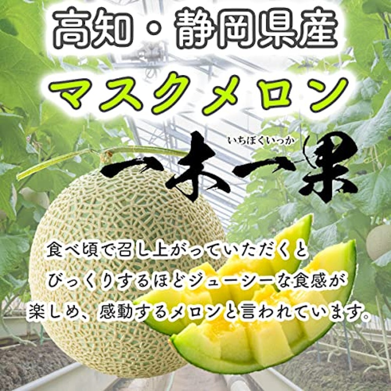 マスクメロン 2
