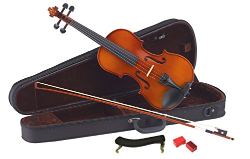 初心者用バイオリンのおすすめ人気ランキング36選【2024年】 | mybest
