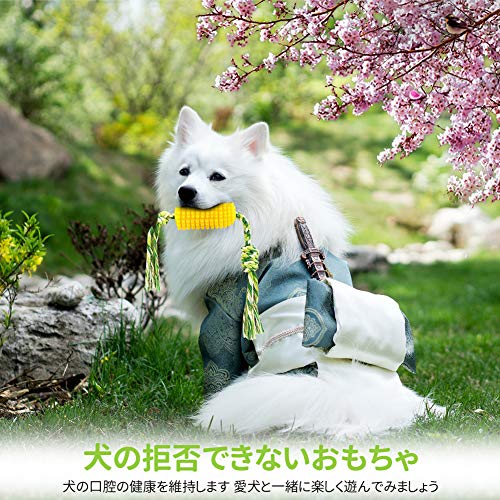 21年 犬用噛むおもちゃのおすすめ人気ランキング14選 Mybest