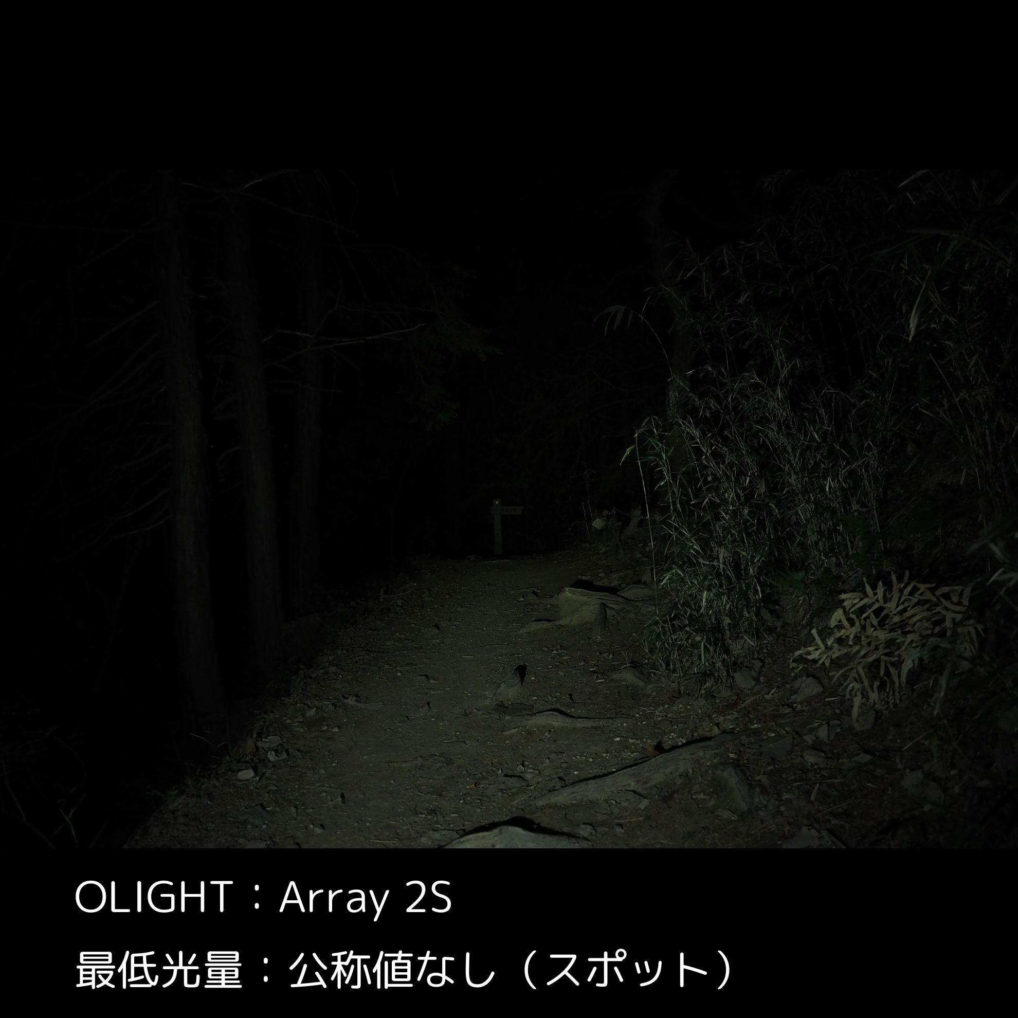 Array 2S 5