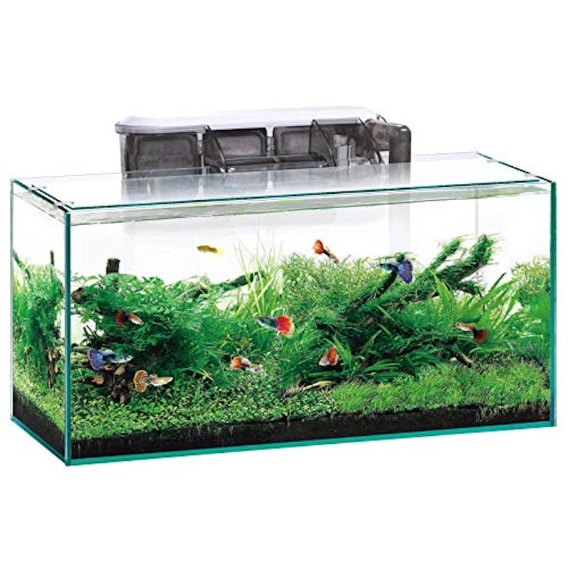 Mueylzzaxkxdwm Mueylzzaxkxdwm